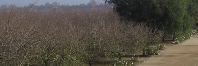 Aragon Farms - Who we are?