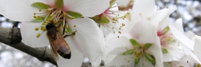 Aragon Farms - Aragon Farms news