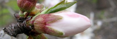 Aragon Farms - Breeding Grounds