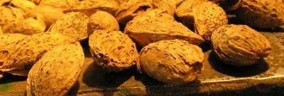 Aragon Farms - Nutritional characteristics