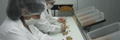 Aragon Farms - Processing