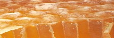 Aragon Farms - Caractersticas nutricionales